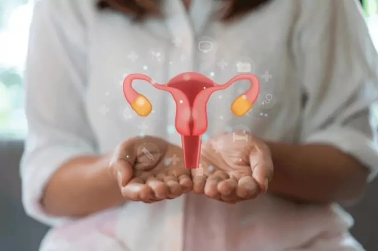 Cervical Cancer Screening (PAP Smear, HPV)